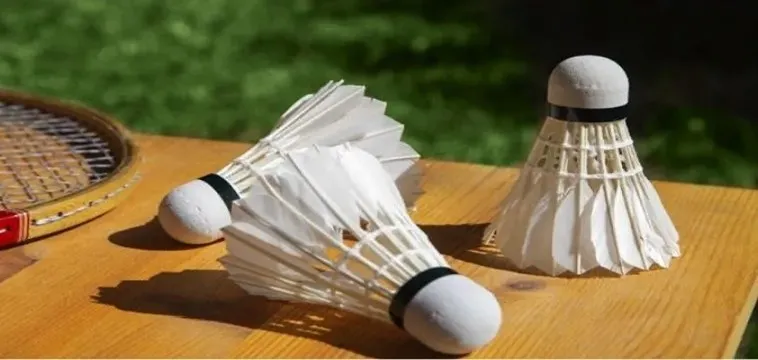 Bí Quyết Chinh Phục Cá Cược Cầu Lông Tại FUN88: Thắng Lớn Trong Từng Trận Đấu 2 Bí Quyết Chinh Phục Cá Cược Cầu Lông Tại FUN88: Thắng Lớn Trong Từng Trận Đấu